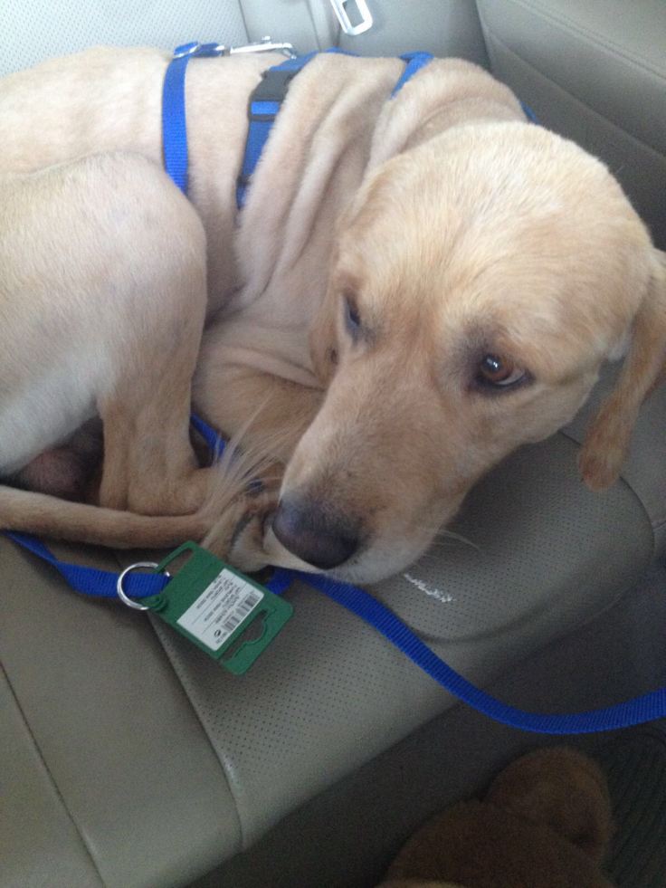 WhatsApp Image 2017-11-01 at 18.26.53