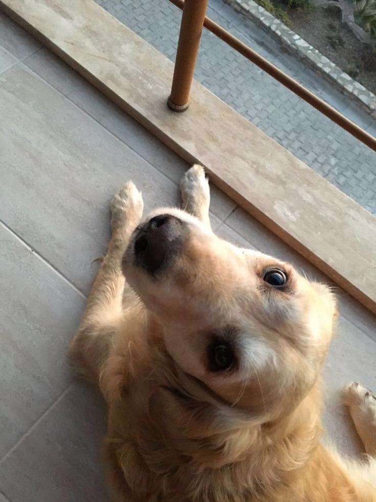 WhatsApp Image 2017-11-01 at 18.27.02