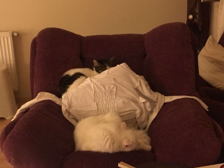 WhatsApp Image 2017-11-01 at 18.27.34