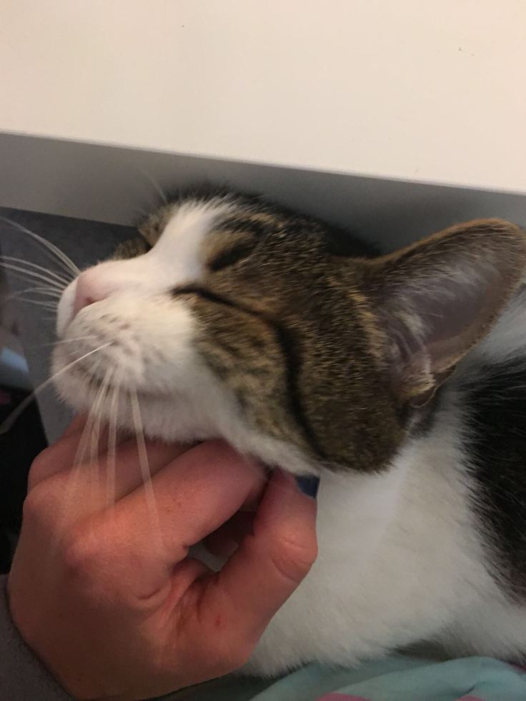 WhatsApp Image 2017-11-01 at 18.27.35