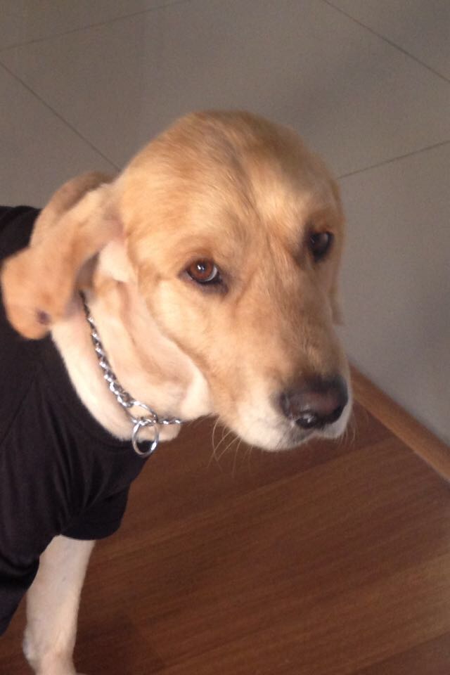 WhatsApp Image 2017-11-01 at 18.27.37(1)