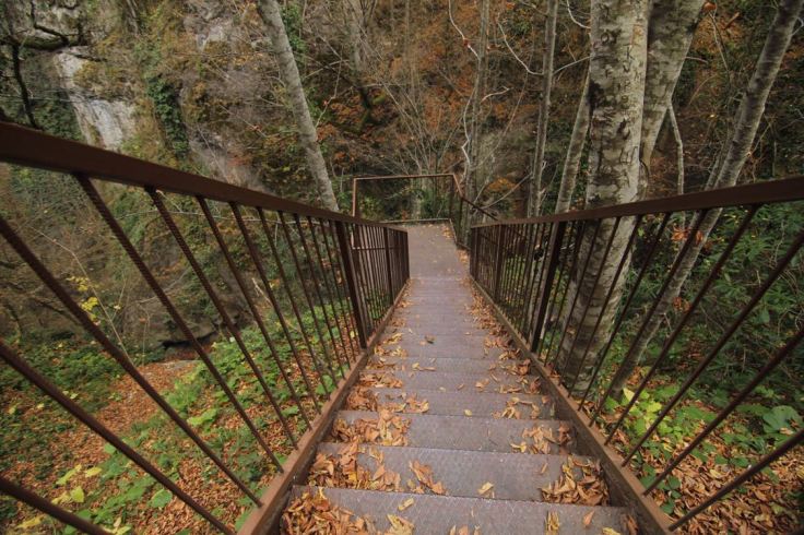 8c6f9fd8-acc2-4dcd-b7a4-5c4e2590736c