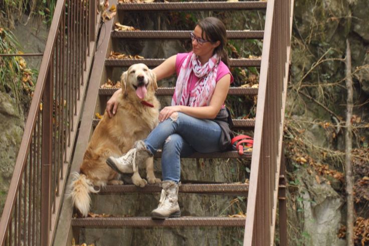 b6bf86aa-7360-4e8e-a77a-cf2dd7b1f41d